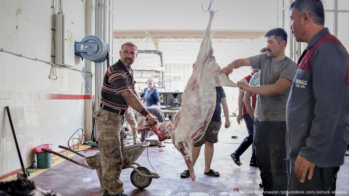 Когато са конфронтирани с моралния аспект около отглеждането на животни, хората започват да търсят различни извинения за менюто си. Когато са конфронтирани с моралния аспект около отглеждането на животни, хората започват да търсят различни извинения за менюто си.