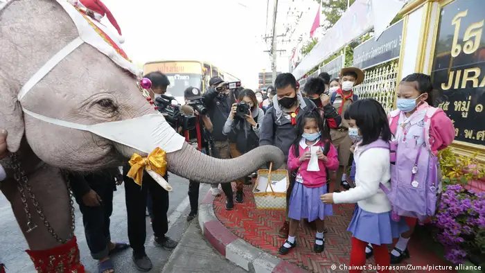 Elephant distributes masks in Bangkok