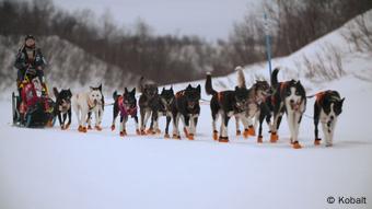 La carrera más dura de Europa - Trineos de perros en Noruega