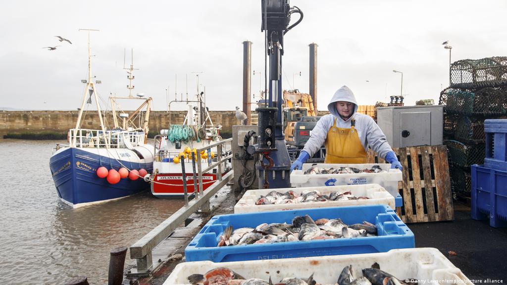 Uk Fisheries Unhappy With Eu Trade Deal Business Economy And Finance News From A German Perspective Dw 31 12 2020