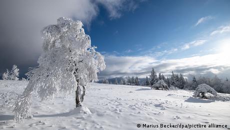 Winterberg | Schneebedeckte Landschaft auf dem Kahlen Asten