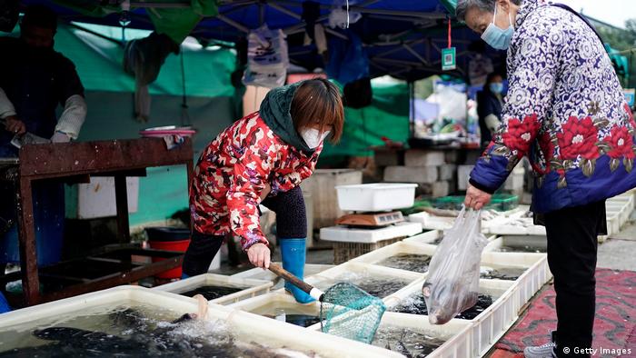 China Wuhan | Fisch-Markt