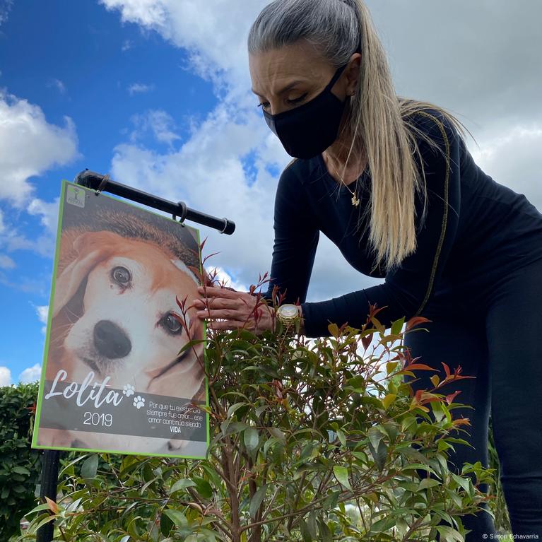 is compost bad for dogs