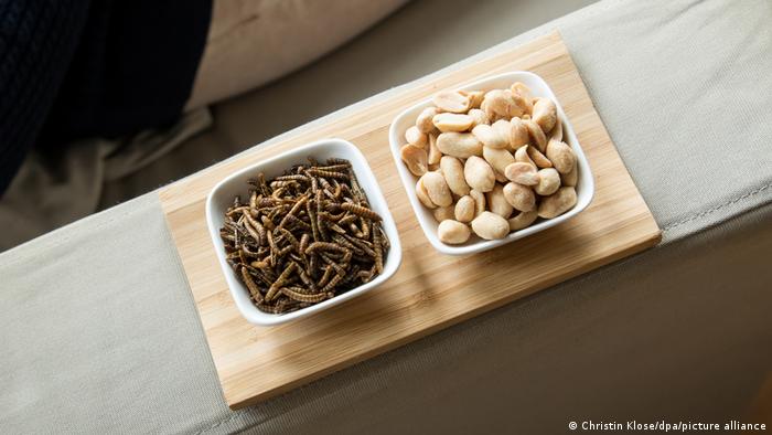 A bowl of edible mealworms served next to a bowl of peanuts