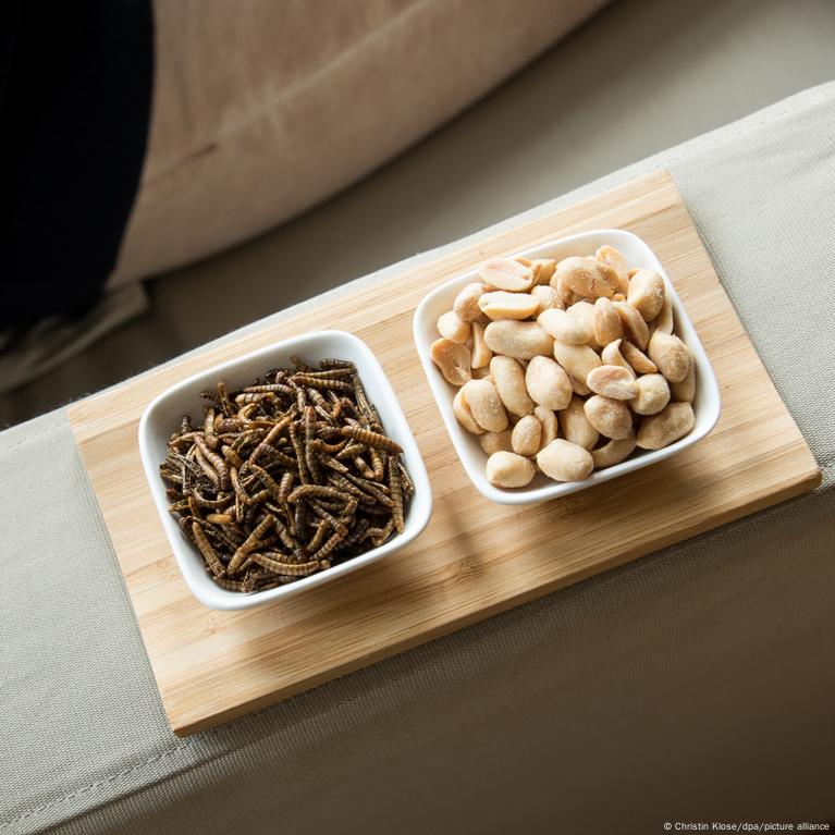 mealworms eu