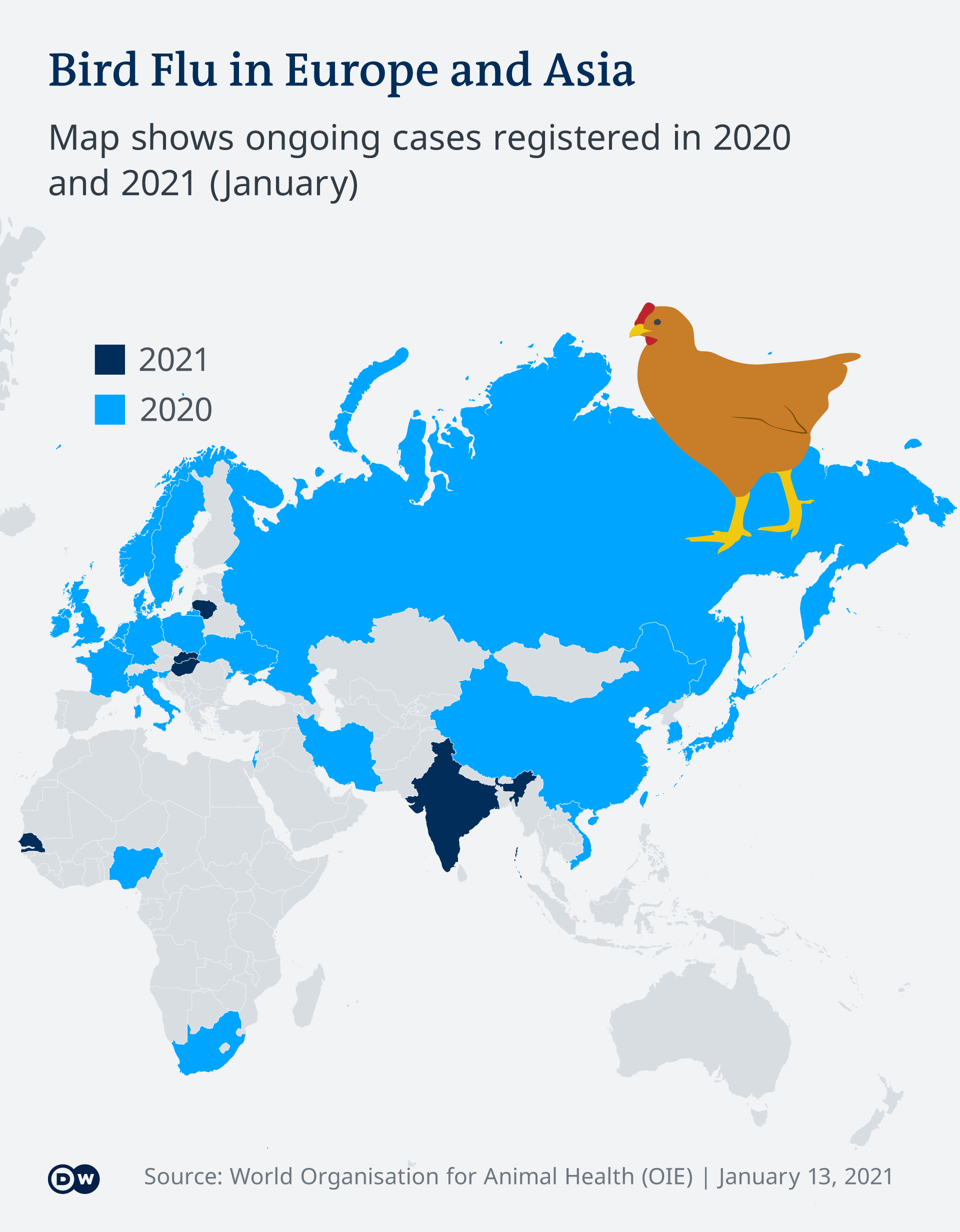 Infographic dissemination of bird flu EN