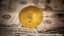 signal bitcoin telegram bitcoin pound price