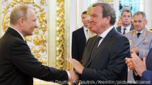 Шредер вітає Путіна з черговим вступом на посаду президента РФ, 7 травня 2018 року