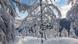 Winterwetter im Hochschwarzwald BdT Winterwetter im Hochschwarzwald BdT