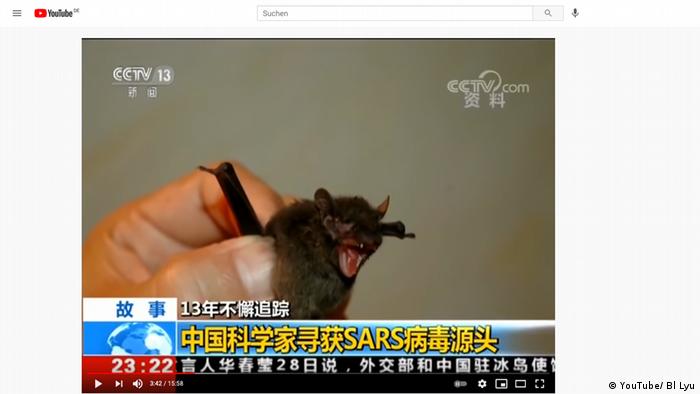 Standbild aus einer CCTV Dokumentation von 2017 | Corona Wuhan | Gefangene Fledermaus