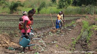 Le gouvernement congolais entend diversifier l'économie en s'appuyant sur d'autres secteurs comme l'agriculture