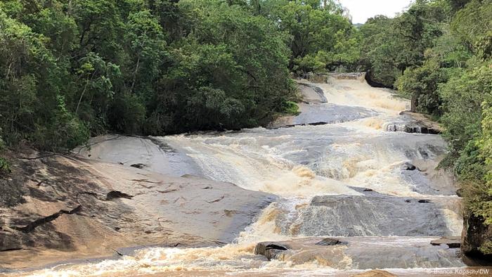 Uma cachoeira na floresta. 