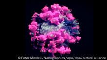 Coronavirus - Neue 3D Darstellung des SARS-Cov-2 Erregers