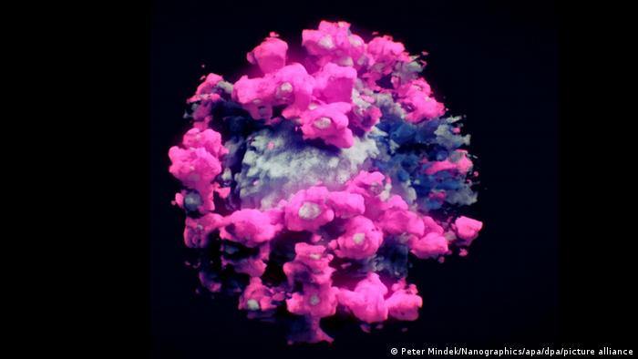 و این تصویر ویروس جدید کرونا را نشان می‌دهد. هر ذره ویروس سارس کوو ۲ حدود ۸۰ نانومتر قطر دارد. هر ذره شامل یک توپ از RNA، کد ژنتیکی ویروس است که توسط پروتئین‌ اسپایک یا همان برآمدگی‌هایی که نام ویروس از آن الهام گرفته شده پوشیده شده است. سارس کوو ۲ عضوی از خانواده ویروس‌های کروناست که شامل ویروس‌های مسئول بیماری‌های سارس ( سندرم تنفسی حاد شدید) و مرس (سندرم تنفسی خاورمیانه) می‌شود. 