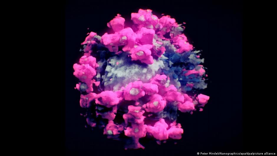 The first 3D photo of coronavirus