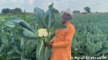 Ambalesh Kashinath shows off his yield of cauliflowers Farmers in Maharastra state in India overcome agrarian distress through imaginative cultivation methods.
Murali Krishnan, 9. Januar 2021