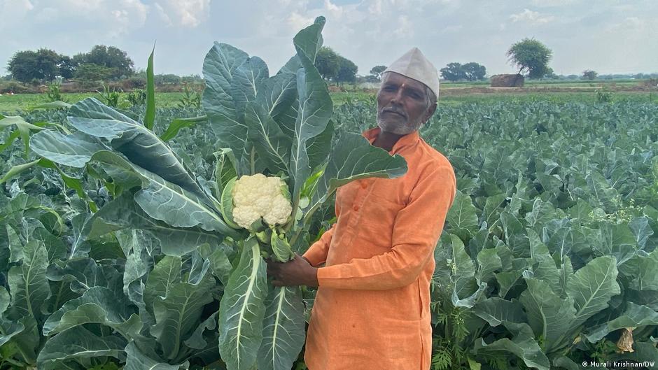 Indian farmers beat water scarcity with innovation | Asia| An in-depth look at news from across the continent | DW - Vimarsana News
