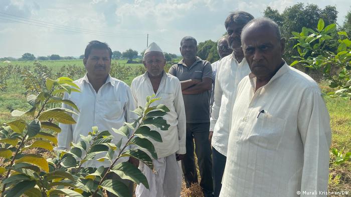 Farmers in Latur are now resorting to multi-cropping and good seed systems to increase farm yields
