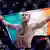Conor McGregor UFC 246 Mixed Martial Arts