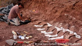 Encontrar y conservar fósiles de dinosaurios requiere mucho trabajo.