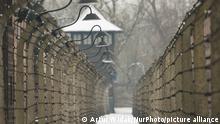 A general view of barbed wire fences, towers and barriers inside Auschwitz I German Nazi concentration and extermination camp (file image from January 26, 2019). Due to the coronavirus pandemic, the commemoration event of the 76th anniversary of the liberation of the German Nazi Auschwitz concentration and extermination camp will be held online. On Tuesday, January 25, 2021 in Dublin, Ireland. (Photo by Artur Widak/NurPhoto)