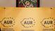 Partidul AUR Partidul AUR