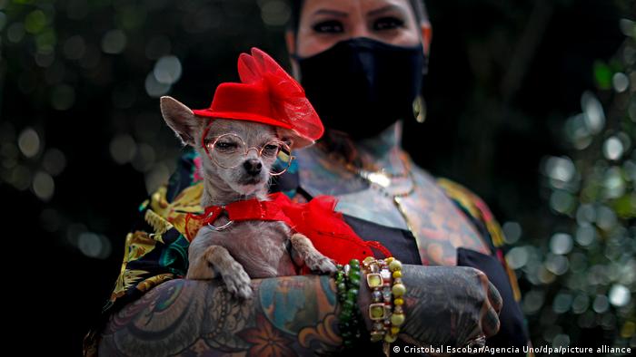 زنی با سگش در جریانی مراسمی در پروویدنسیا اشتراک کرده است. شهردار این شهر به دارندگان حیوانات خانگی کاسه هایی ضدعفونی شده توزیع کرد تا از شیوع ویروس کرونا در میان حیوانان خانگی جلوگیری شود.
