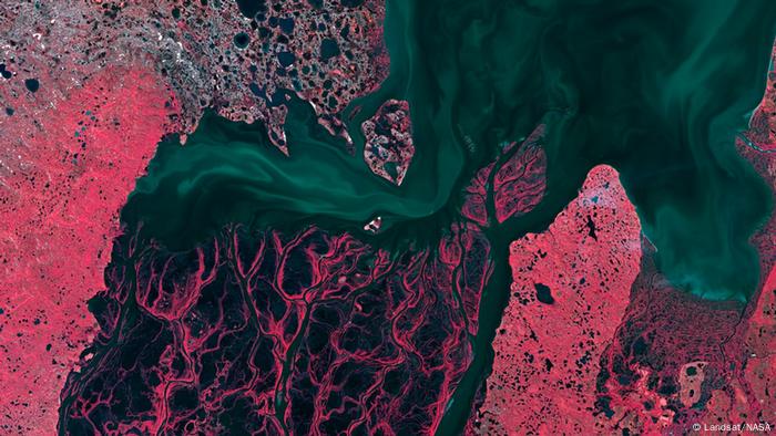 Casi toda Siberia está atravesada por humedales que almacenan CO₂ y suelos de turba.