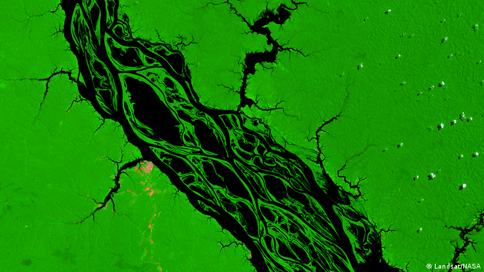 A bird's eye view of the Amazon River; the river meanders blackly through the green image.