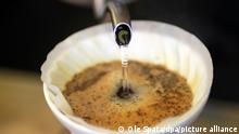 Heißes Wasser wird zum Aufbrühen eines Kaffees durch einen Kaffeefilter gegossen, aufgenommen am 26.09.2012 in Berlin. Foto: Ole Spata