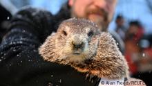 Punxsutawney Phil's handler A.J. Dereume holds the famous groundhog during a socially distanced and remote event due to the coronavirus disease (COVID-19) on the 135th Groundhog Day at Gobblers Knob in Punxsutawney, Pennsylvania, U.S., February 2, 2021. REUTERS/Alan Freed 