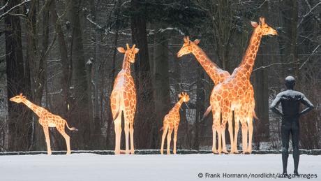 BdTD Deutschland Leuchtgiraffen im Rostocker Zoo