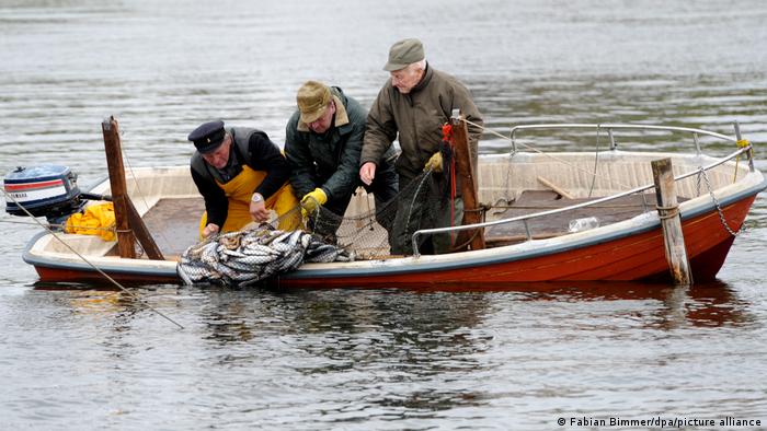 ��������, 2010 ���