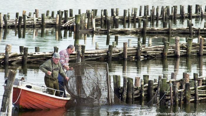 �������� ���������� 2003 ����