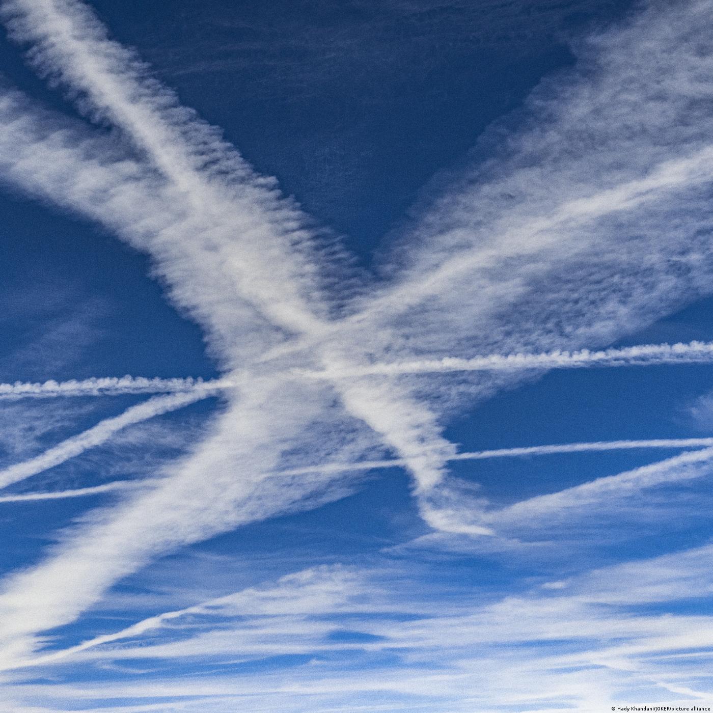 Living Planet: To fly or not to fly? The truth behind carbon offsetting