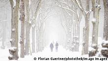 Two people walk down a snowy tree-lined street 