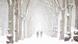 Two people walk down a snowy tree-lined street Two people walk down a snowy tree-lined street