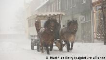 Im Schneegestöber fährt eine Pferdekutsche durch die Stadt. Tief Tristan hat für gewaltige Schneemengen im Harz wie hier in Wernigerode gesorgt. +++ dpa-Bildfunk +++