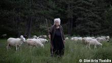A journey with Greece's last nomadic shepherds