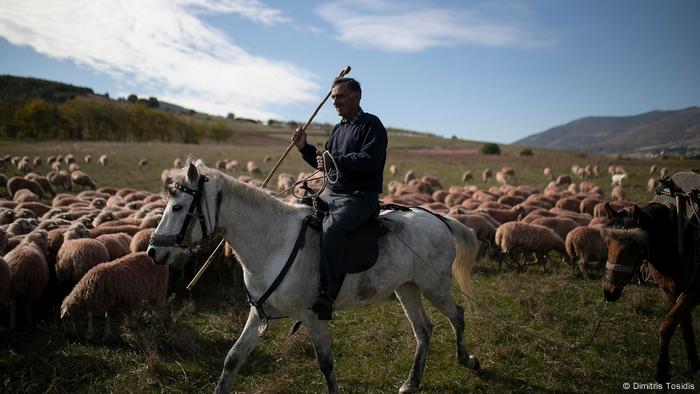 Thomas Ziagkas rides his horse in the middle of his herd migration to the winter destination in Greece