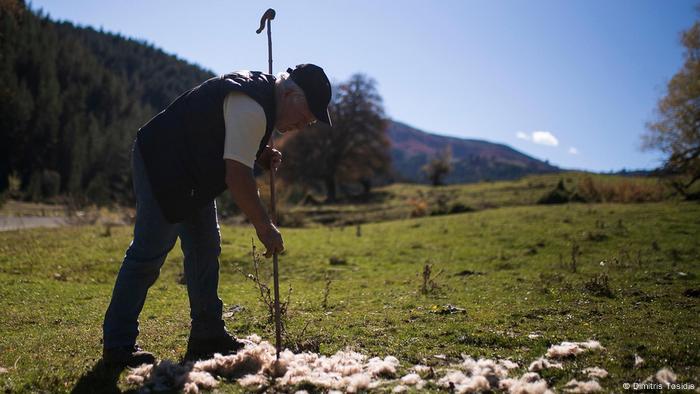 Giorgos Anthoulis finds the remains of one of his sheep in Greece