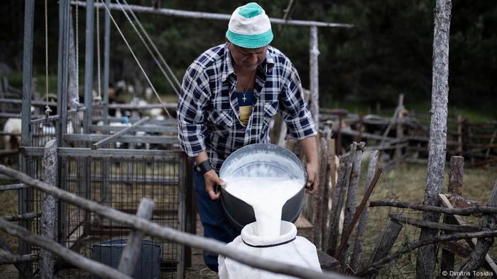 Vasilis Tzimas stores the morning milk haul 