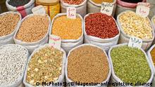 bunte Säcke im Bazar von Tripolis / colorful grain sacks in the bazar of Tripoli