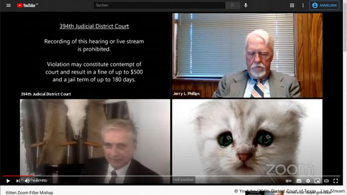 I Am Not A Cat Courtroom Zoom Mishap Goes Viral News Dw 10 02 21