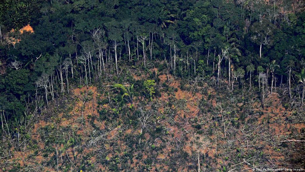 Analisis Pandemi Covid 19 Tahun 2020 Menghancurkan Hutan Dunia Dunia Informasi Terkini Dari Berbagai Penjuru Dunia Dw 26 02 2021