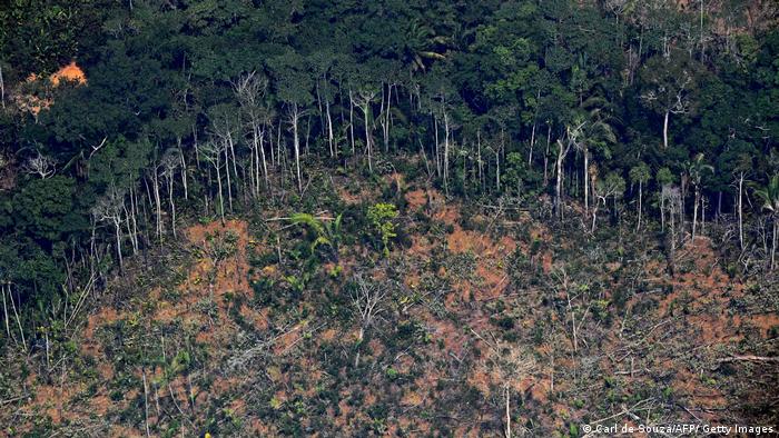 Buraco desmatado em meio à floresta amazônica