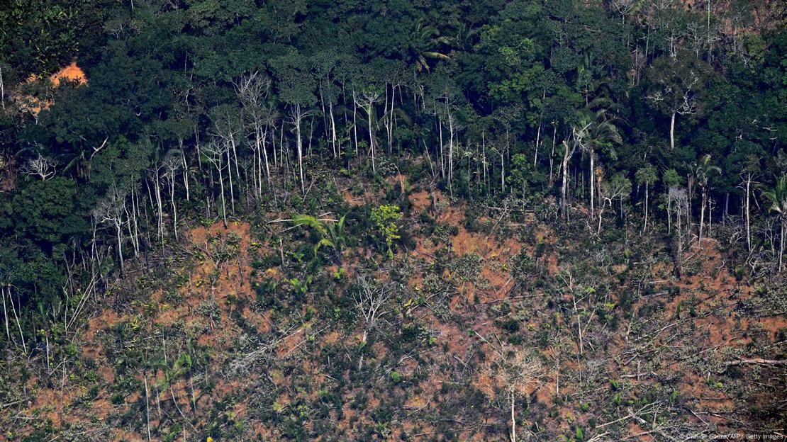 Área de floresta amazônica devastada por incêndios em 23/08/2019