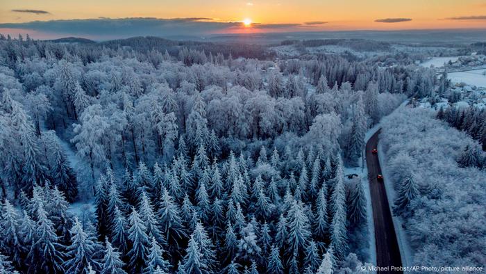 Schneebedeckte Baumwipfel in Mitteldeutschland bei Frankfurt