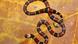 A Cape coral snake or Cape coral cobra. A Cape coral snake or Cape coral cobra.