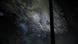 A species discovered under Antarctica A species discovered under Antarctica